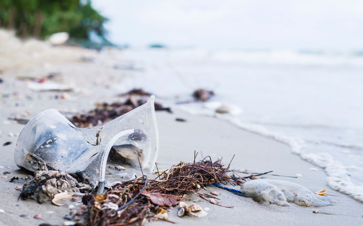 Semana Santa 2024: ¿Cuáles son los estados con las playas más limpias? (Foto: Freepik)