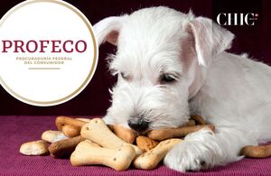 Mejor marca de croquetas para perros y más barata, según Profeco (Foto. Getty)