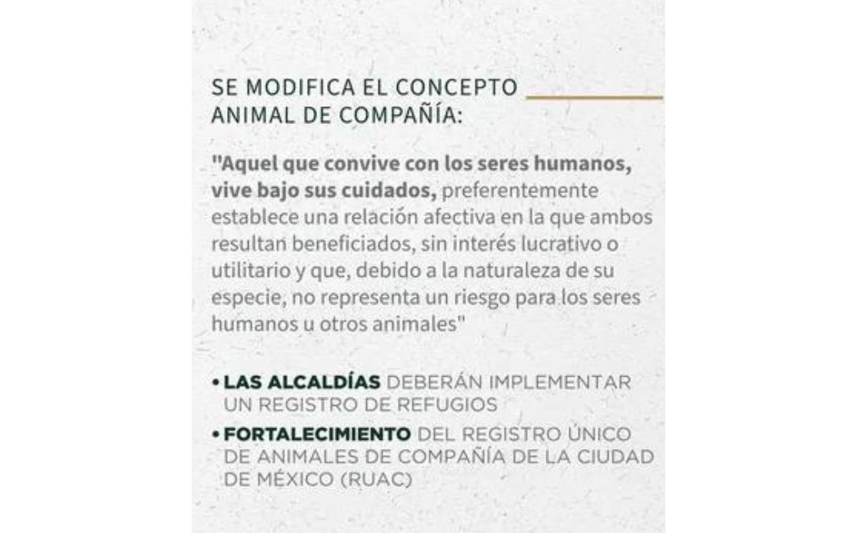 Ley de Protección Animal de la CDMX: ¿Qué cambios hicieron? (X)