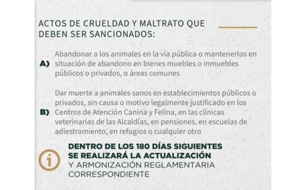 Ley de Protección Animal de la CDMX: ¿Qué cambios hicieron? (X)