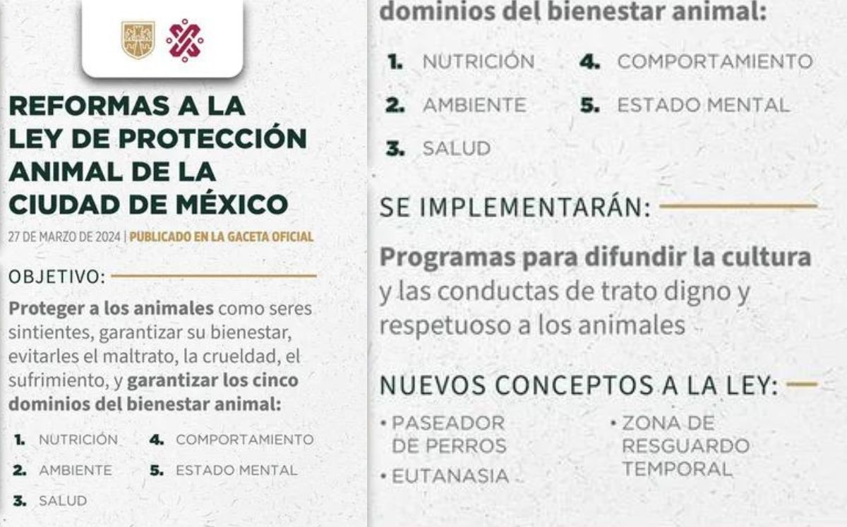 Ley de Protección Animal de la CDMX: ¿Qué cambios hicieron? (X)