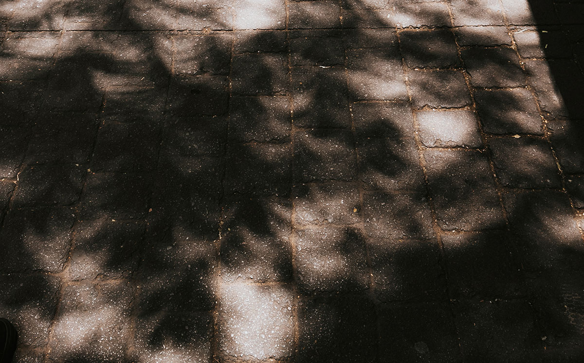 Eclipse Solar 2024