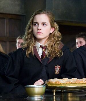 Emma Watson y la icónica escena que ODIÓ filmar en "Harry Potter" (Foto: Warner Bros)