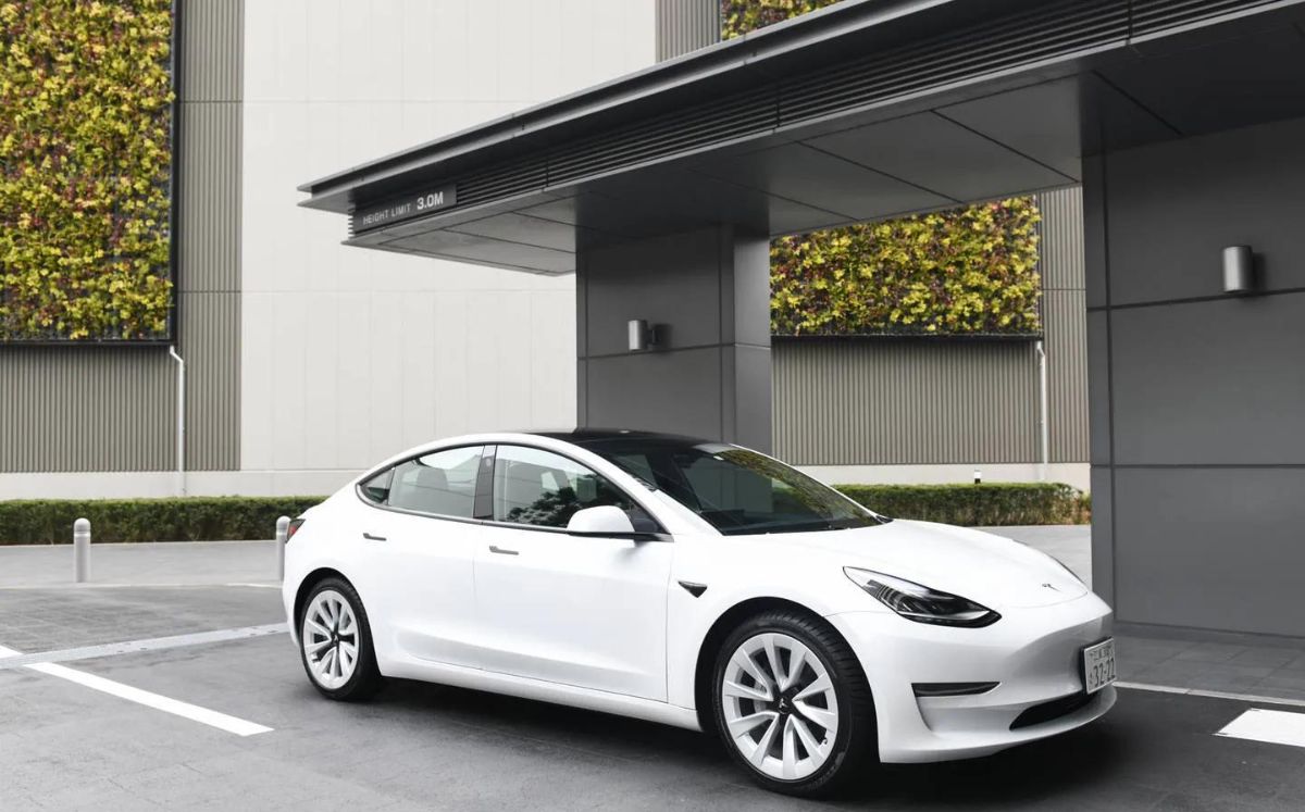 Tesla baja sus precios: ¿Cuáles son sus carros más baratos? (Tesla)