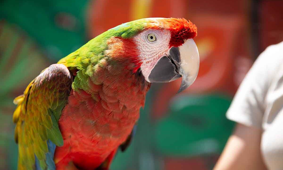 Parque Loro fue el anfitrión