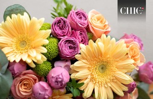 Tipos de flores ideales para regalar / Fotos: Cortesía