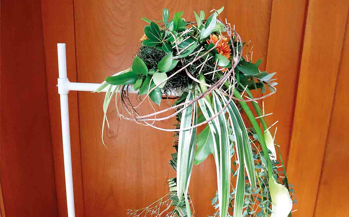 Celebran la naturaleza