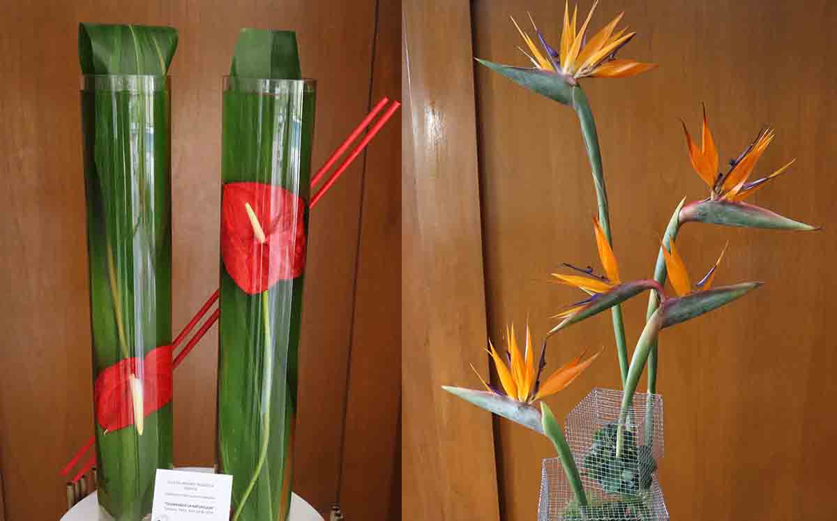 Belleza Frutal y Pájaros en Libertad fueron algunos de los arreglos que encontramos en el aniversario