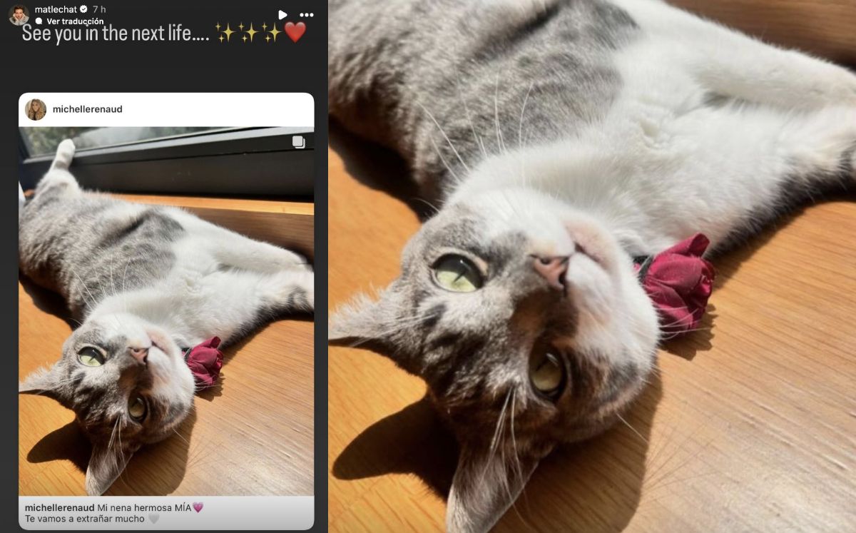 Michelle Renaud sufre irreparable pérdida alejada de su familia (Instagram)
