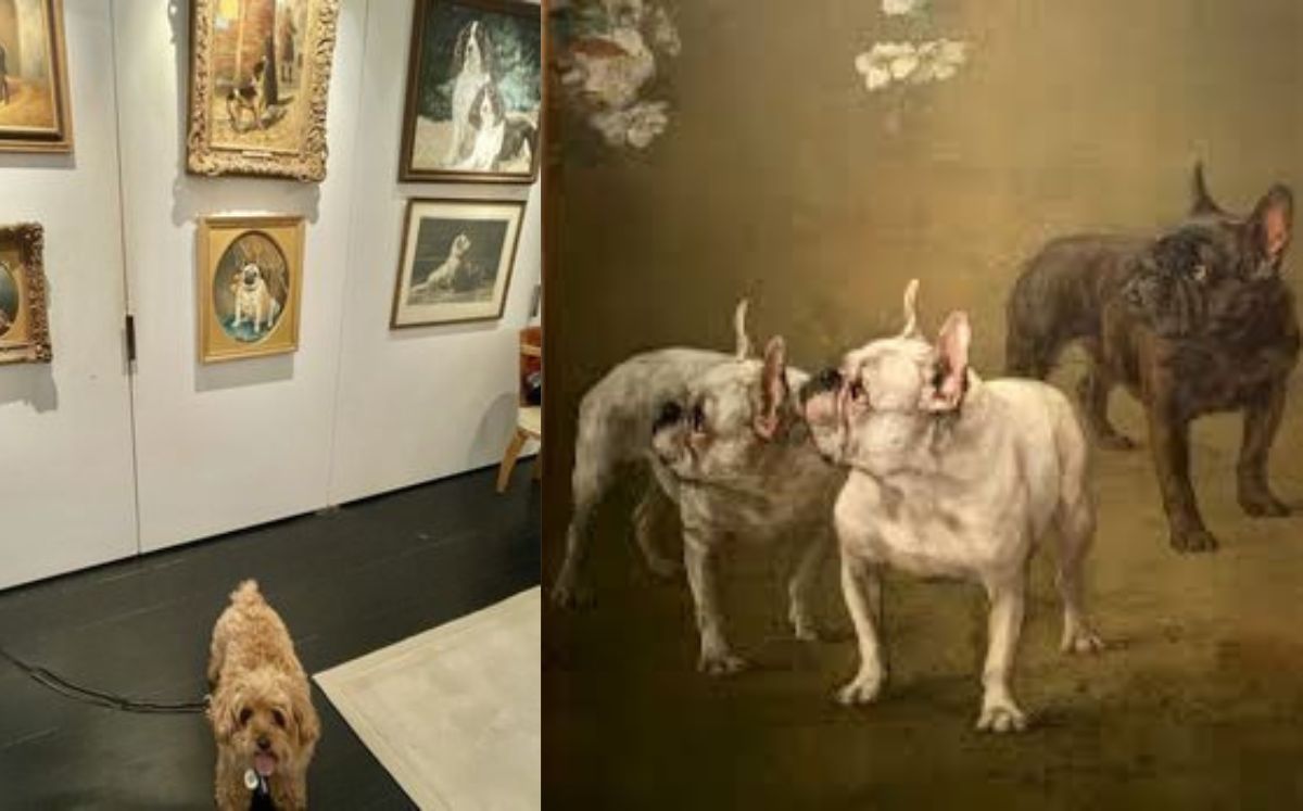 Museos pet friendly: ¿En dónde hay y cuánto cuesta su entrada? (Instagram)