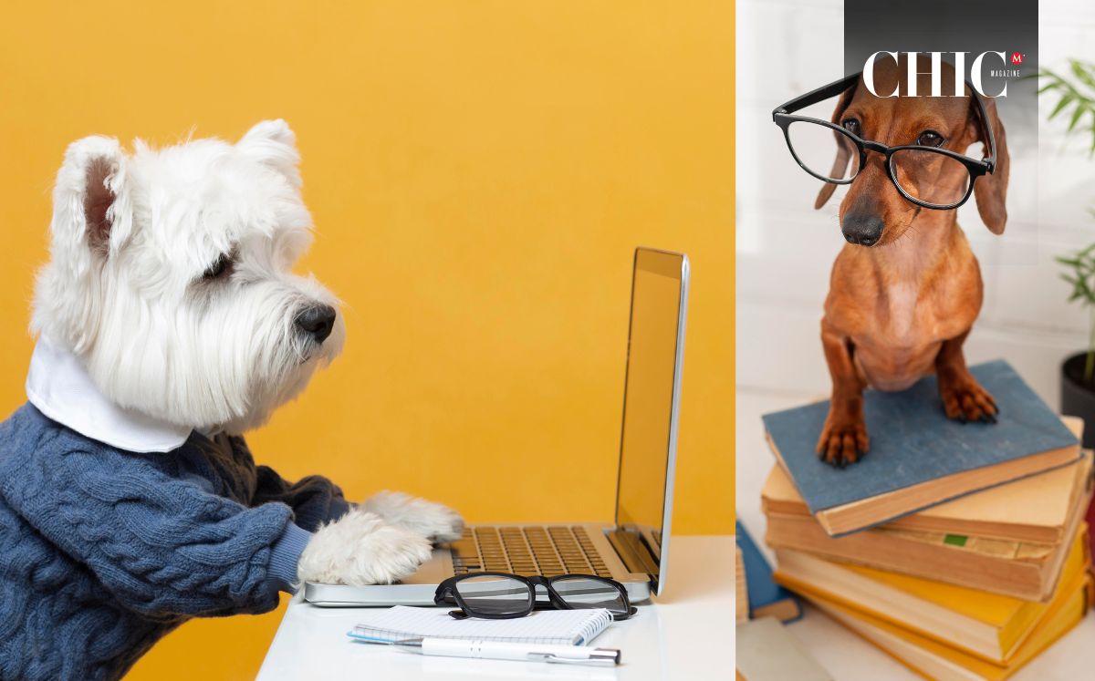 Museos pet friendly: ¿En dónde hay y cuánto cuesta su entrada? (Freepik)
