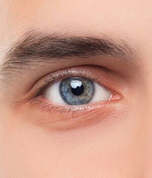 Revisión ocular: ¿Cada cuándo es necesario hacerla? (Freepik)