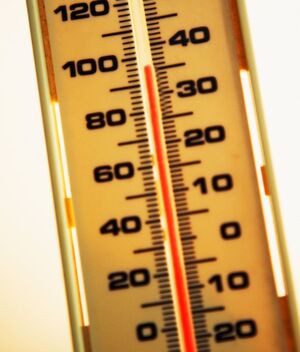 Estudio revela cómo el calor podría ser mortal para el 2025 (Foto: Getty)