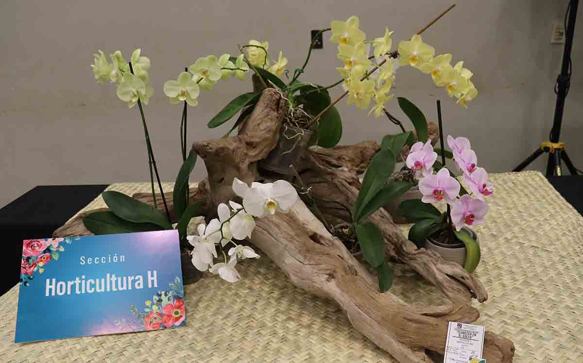 detalles de Horticultura