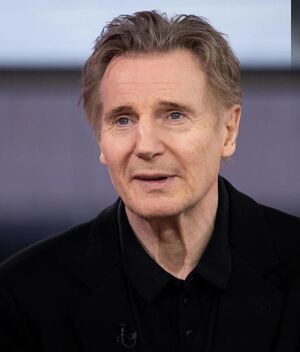 Liam Neeson: ¿Qué película podría terminar con su carrera? (Getty Images)