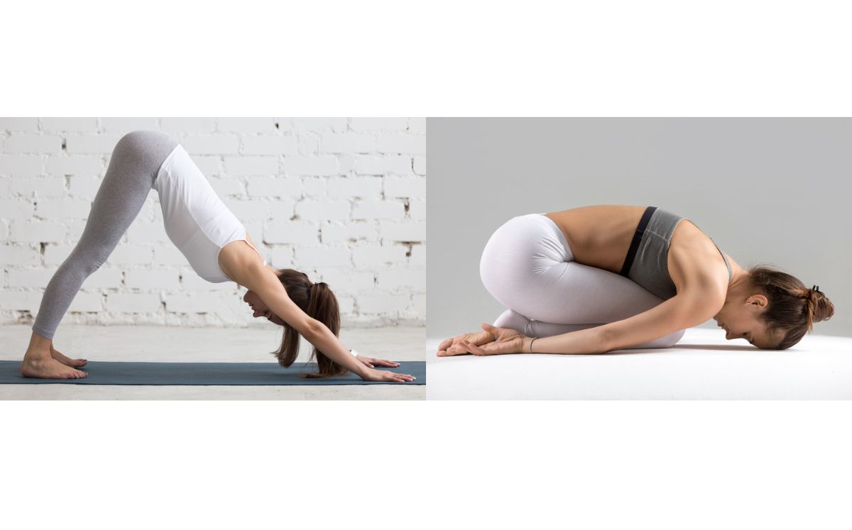 Postura de perro y de niño en yoga (X)