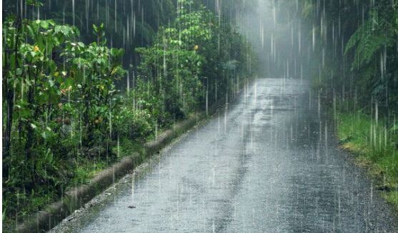 Esta es la cantidad de lluvia necesaria para revertir la escasez de agua (Foto: Freepik)