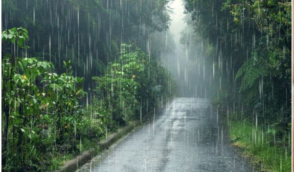 Esta es la cantidad de lluvia necesaria para revertir la escasez de agua (Foto: Freepik)