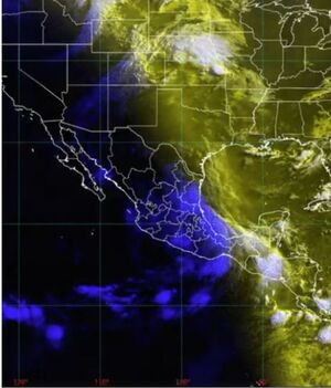 Huracán Beryl: Día y lugar de llegada en México, según Conagua (Foto: X)
