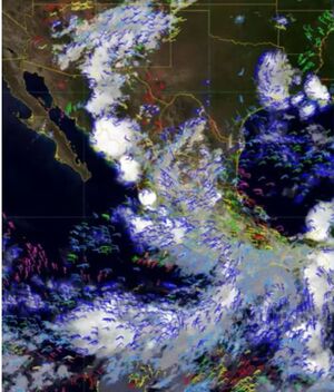 Huracán Beryl categoría 5: ¿Qué estados serán más afectados? (Foto: X)
