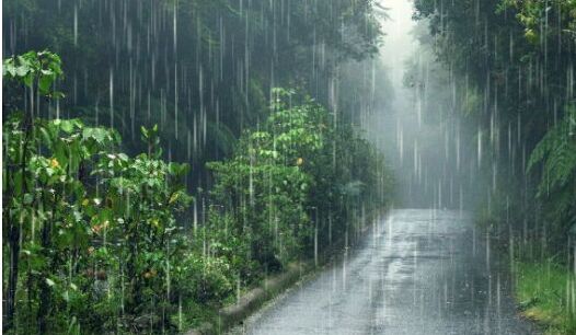 Esta es la cantidad de lluvia necesaria para revertir la escasez de agua (Foto: Freepik)