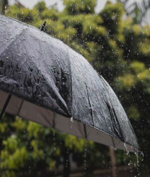 Lluvias por Huracán Beryl