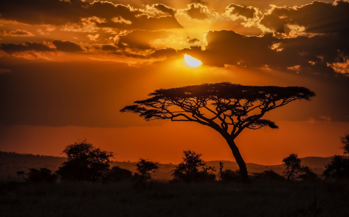 África (Freepik)