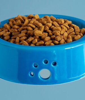 Croquetas para perro (Freepik)