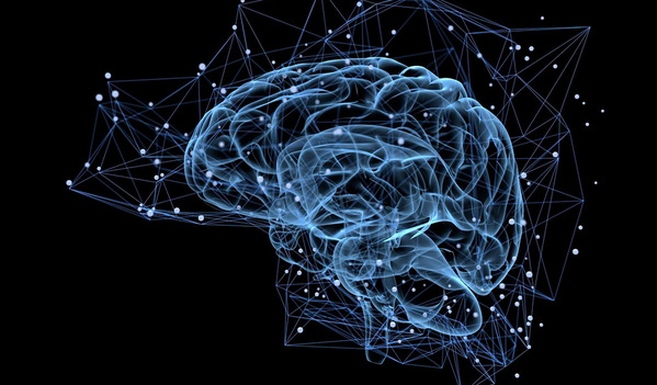 Cerebro