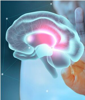 Beneficios tener VACACIONES en el cerebro (Foto: Freepik)