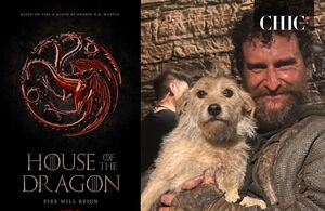 Bobby, el perrito de 'House Of The Dragon' (Instagram)