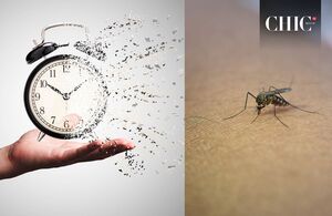 Conoce todo sobre el Chandipura, virus mortal que alerta al mundo (Freepik)
