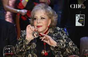 Silvia Pinal: ¿Por qué clausuraron un pasillo de su mansión? (Foto: Getty)