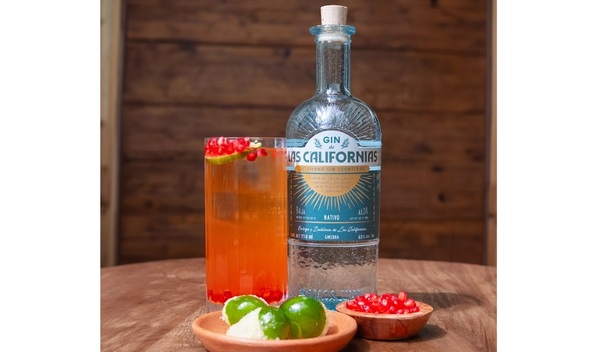 Este cóctel combina la frescura de la ginebra con el toque picante del chile ancho (Foto: Cortesía)