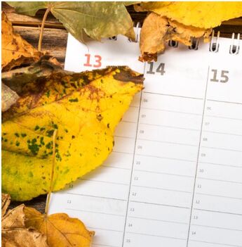 El siguiente día de descanso después del 16 de septiembre (Foto. Freepik)