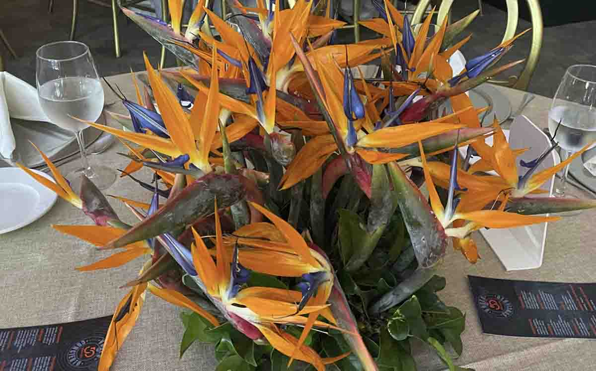 Arreglos florales a cargo de Leonarda