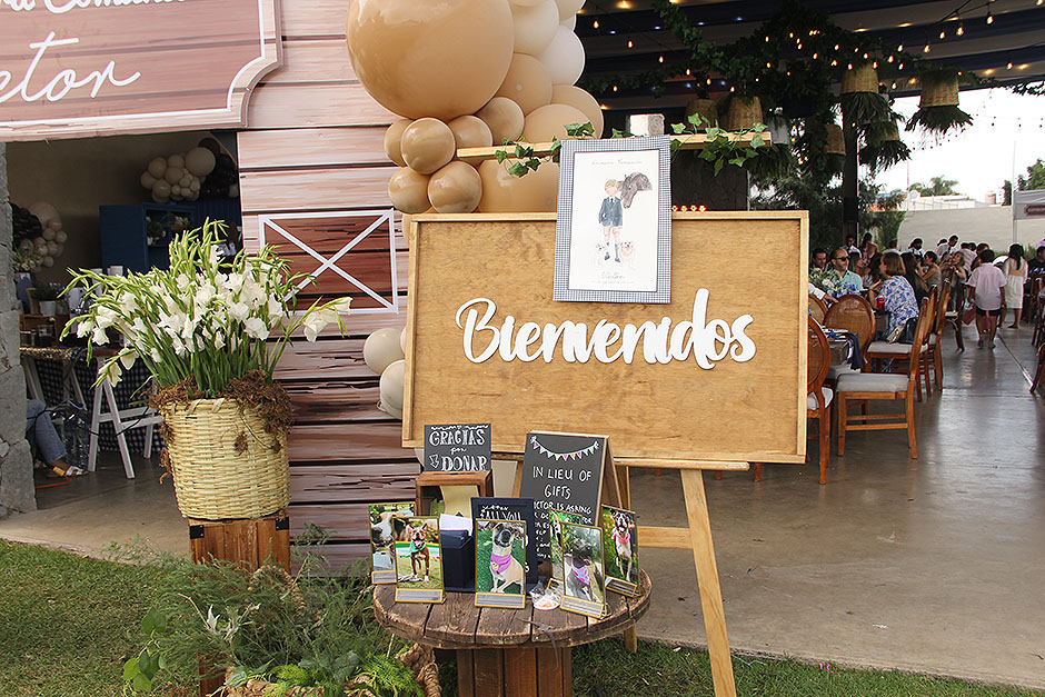 Z. detalles 02