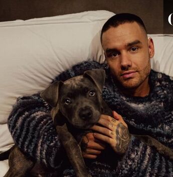 Liam Payne: Quién es su hijo, Bear Payne (Instagram)