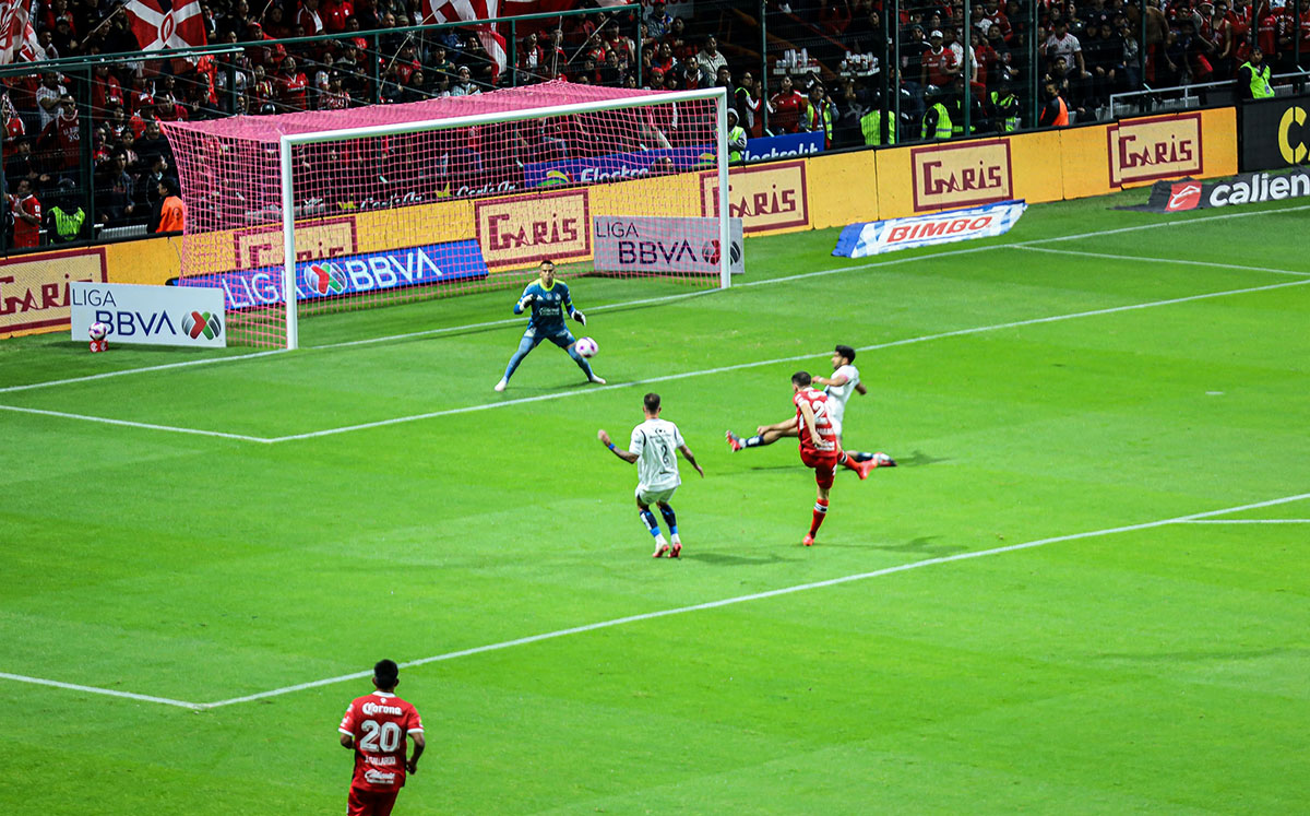 Toluca VS Puebla (Edgar Segura / Braulio García)