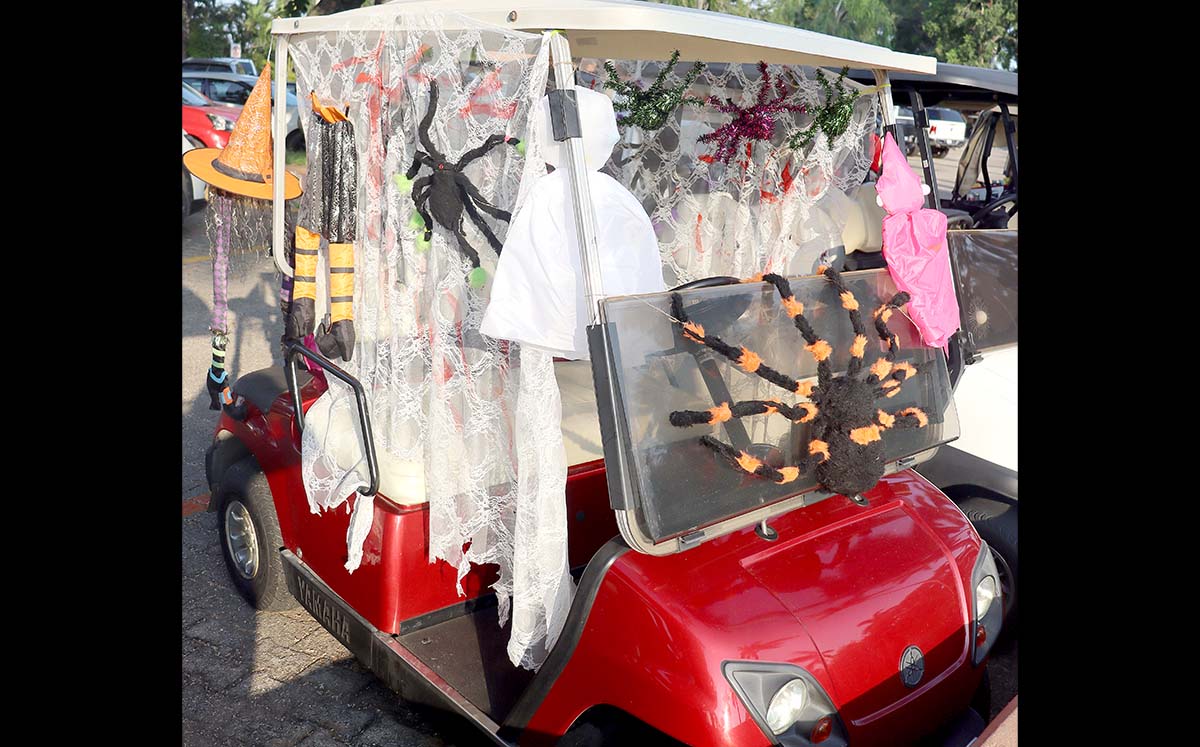 Detalles de la decoración de los carritos de golf