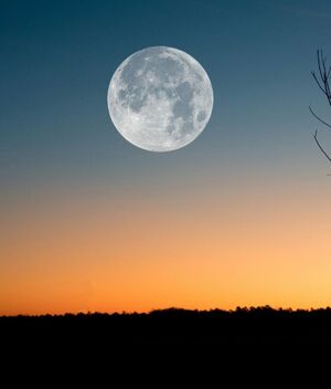 La última Superluna del 2024 (Pexels)