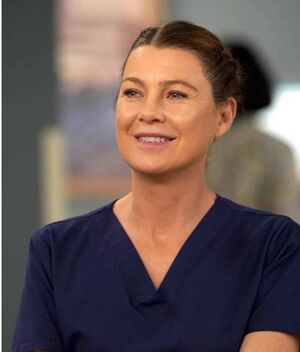 Ellen Pompeo: ¿Por qué sigue en Grey's Anatomy? (Foto: Instagram)