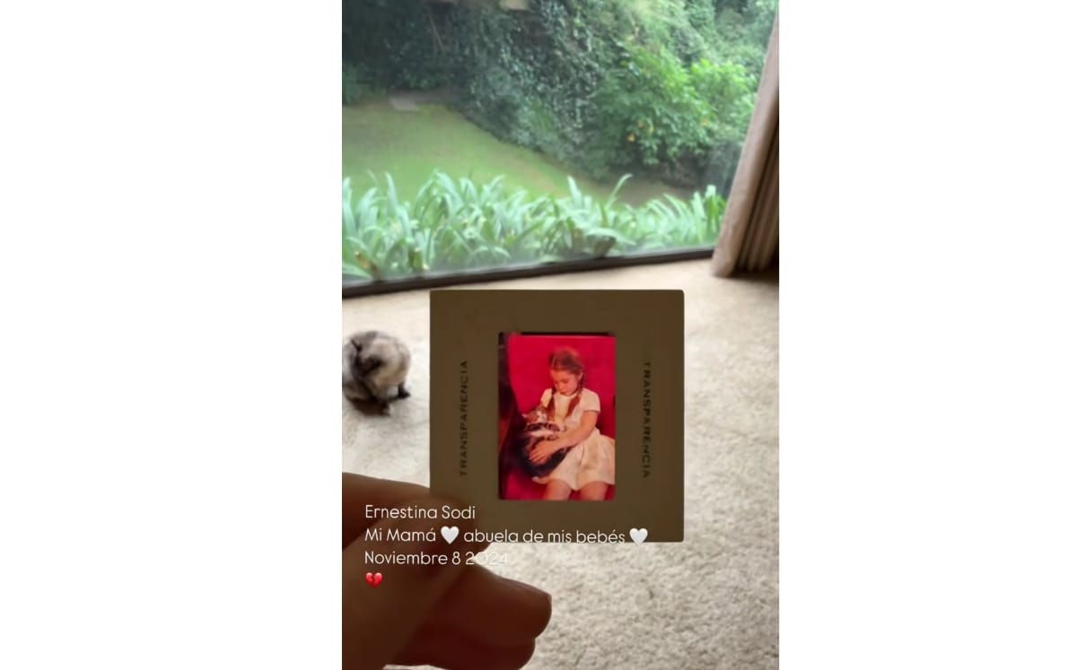 Camila Sodi compartió esta historia sobre la Muerte de su mamá (Instagram)