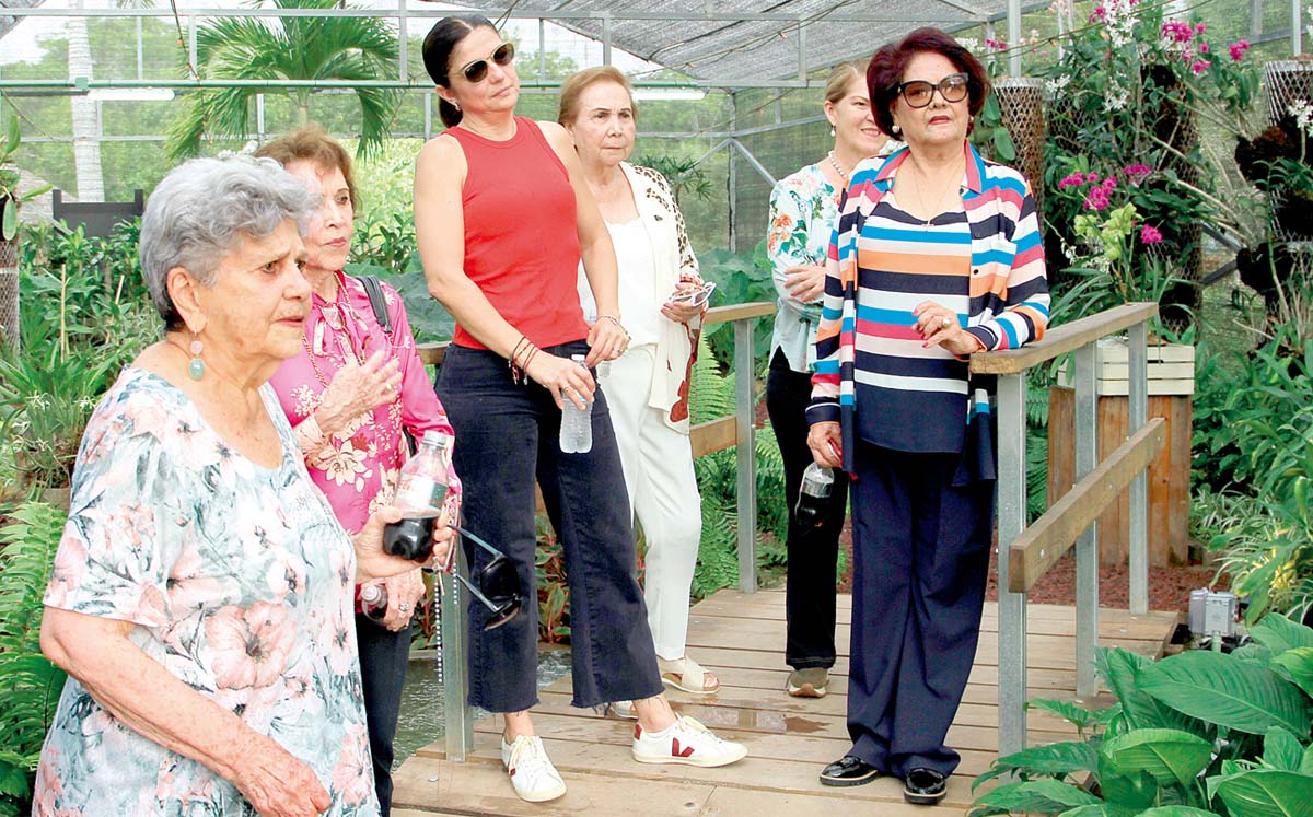 Club de Jardines Ikebana aprendiendo más sobre las orquídeas
