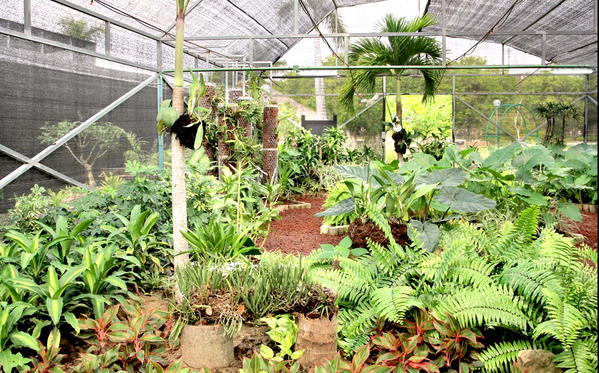 Vivero Didáctico Municipal de Tampico