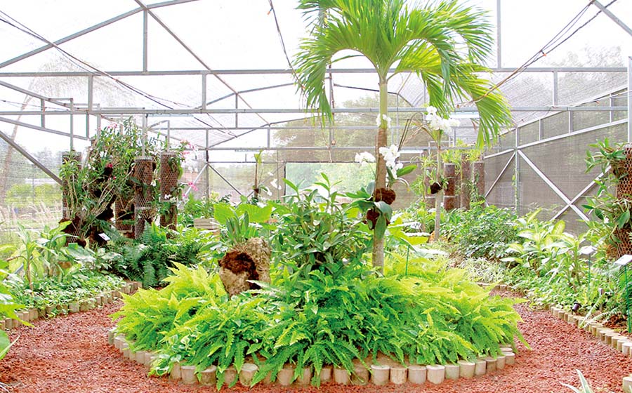 Vivero Didáctico Municipal de Tampico