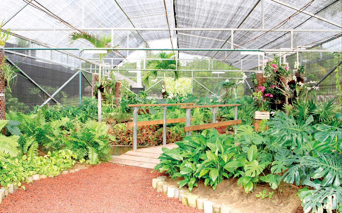 Vivero Didáctico Municipal de Tampico