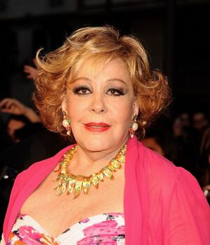 Silvia Pinal: Así es su hermosa casa en el Pedregal (Foto: Getty)
