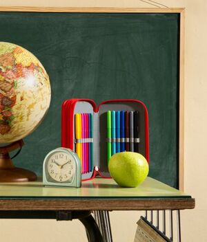 SEP revela en dónde se cancelan las clases el 12 de diciembre (Foto: Freepik)