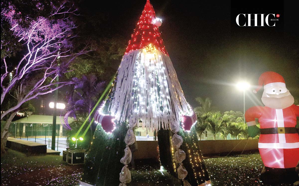 Detalles del encendido del pino